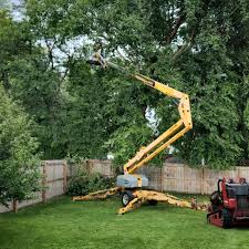 Best Utility Line Clearance  in Gardnerville, NV