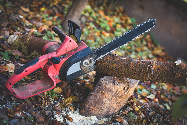 Best Hedge Trimming  in Gardnerville, NV
